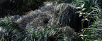 DoCred 5 in 1 Ghillie Suit, 3D Camouflage Hunting Apparel w/Jacket, Pants, Hood, Carry Bag for Adults/Youth, S/M/L/XL/XXL